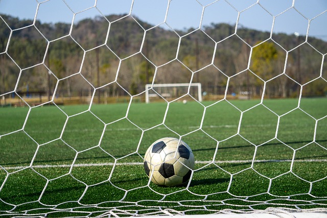 受青睐呢 受青睐呢